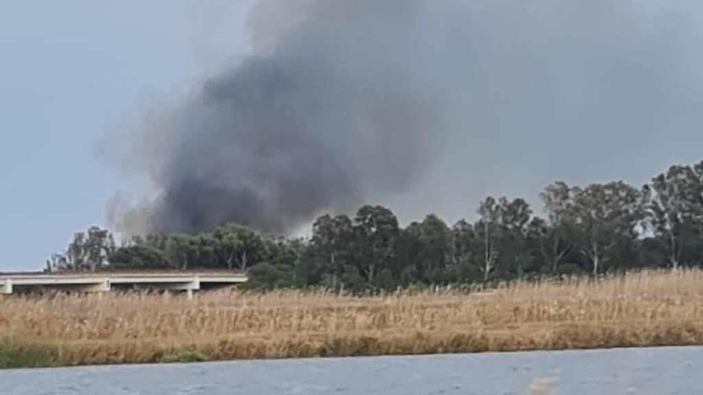 Estabilizado El Incendio Declarado En El Saler Que Obliga A Activar La