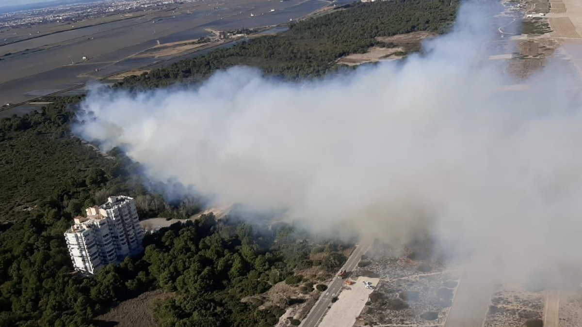 Controlado El Incendio De El Saler Tras Afectar A Cerca De Hect Reas