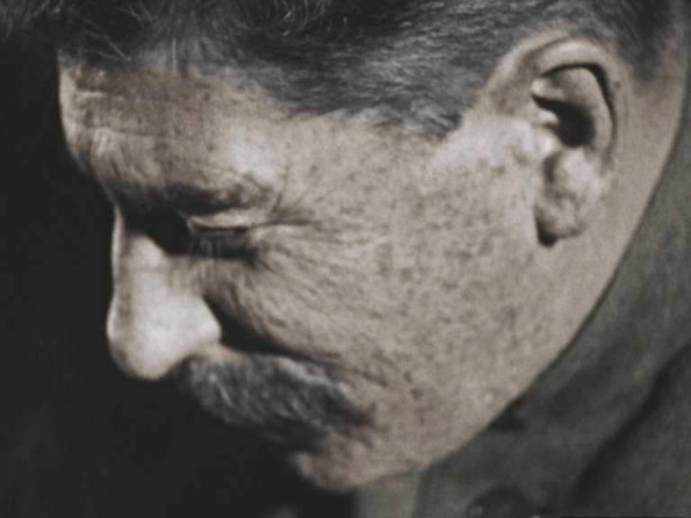 La problemática dermis de Stalin