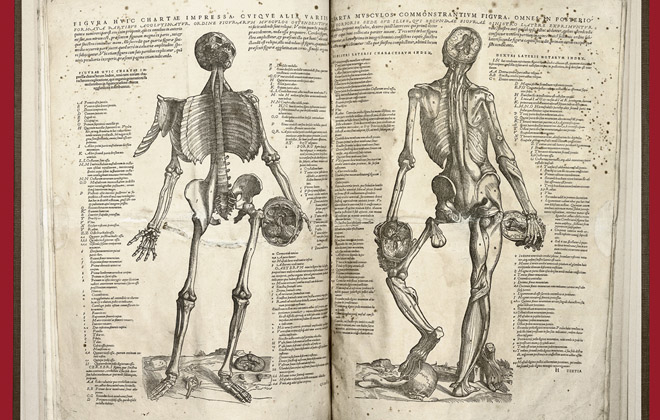 Libro antiguo de anatomía