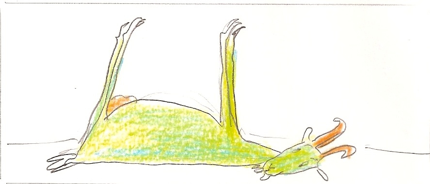 Esbós d'una de les il·lustracions de 'La cabra goluda', de Petr Horácek