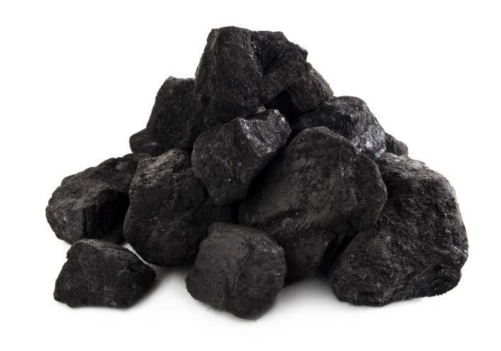Qué es el carbón vegetal?