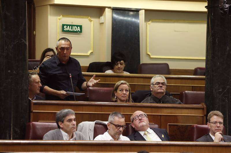 Baldoví, durante su intervención en el Congreso. Foto: EFE