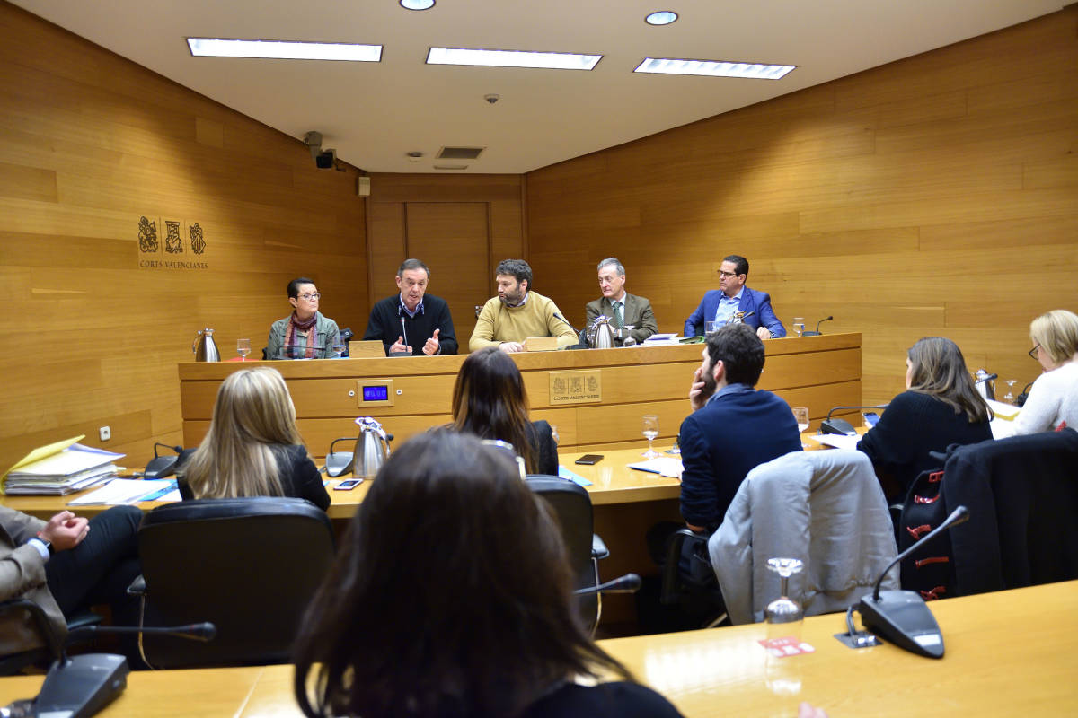 Comisión de Investigación en Les Corts Valencianes. Foto: CORTS/INMA CABALLER
