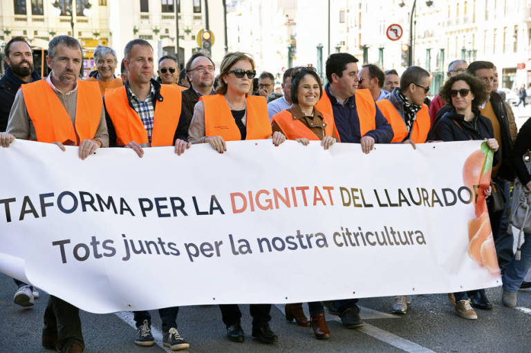 Alcaldes castellonenses de varios partidos, en la manifestación en apoyo a la citricultura de València.