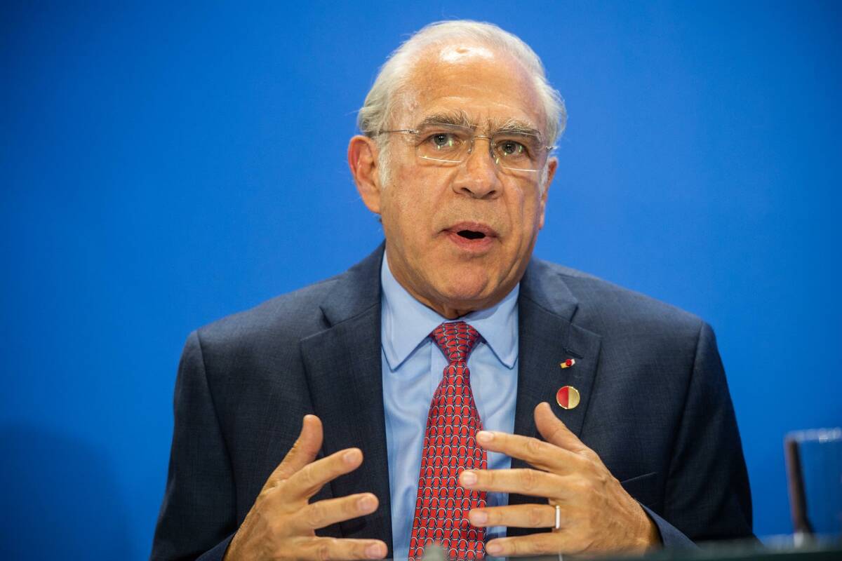 El secretario general de la OCDE, Ángel Gurría. Foto: EP