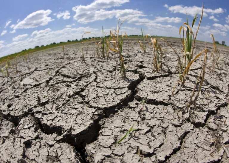 Campo afectado por la sequía. Foto: EFE.