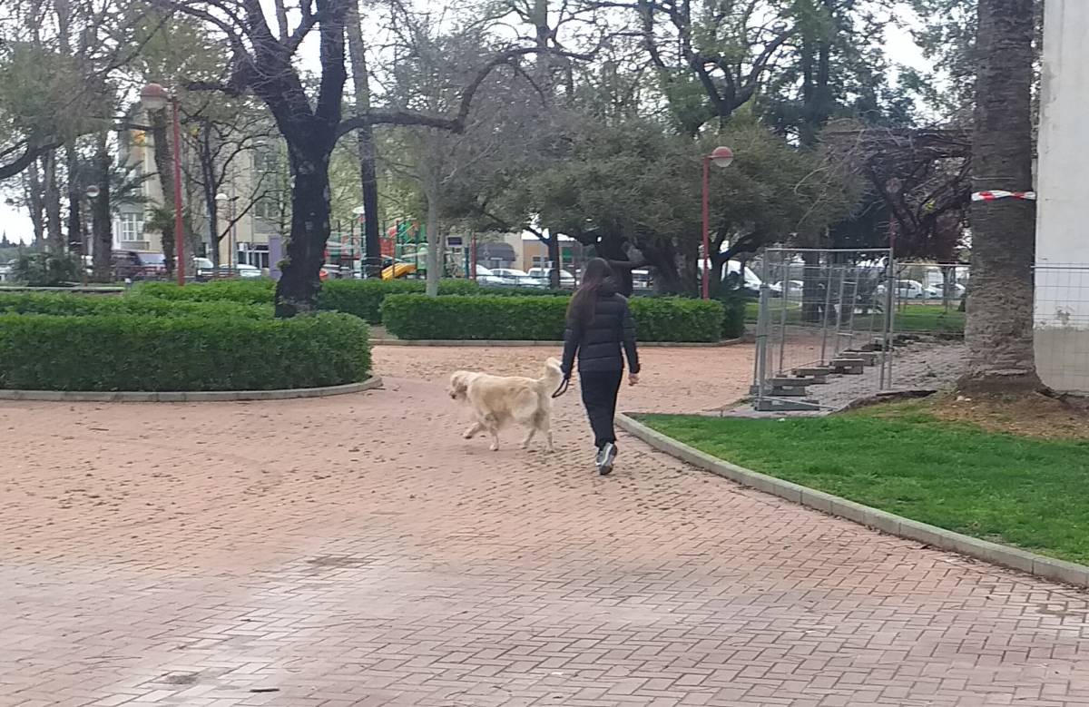 Una mujer pasea en compañía de su mascota.