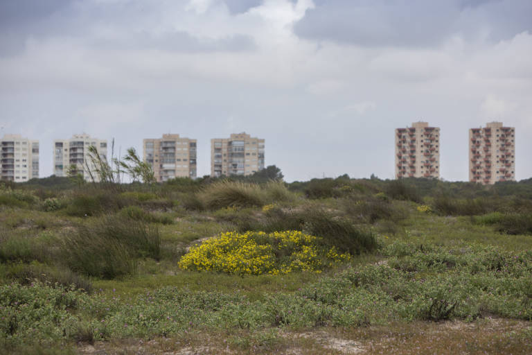 Darrere del cordó dunar del Saler, que separa la mar de l'Albufera, es construiren una vintena de torres. Foto: Eva Máñez