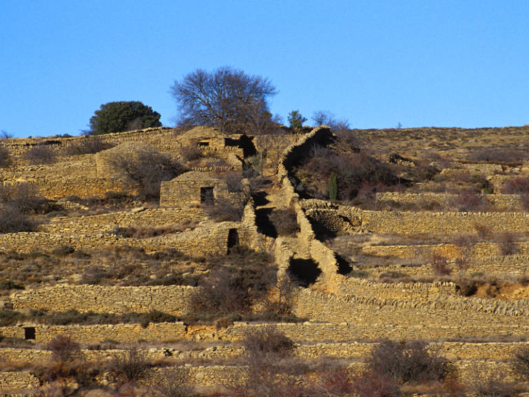 Barraques i murs de pedra en sec en Vilafranca