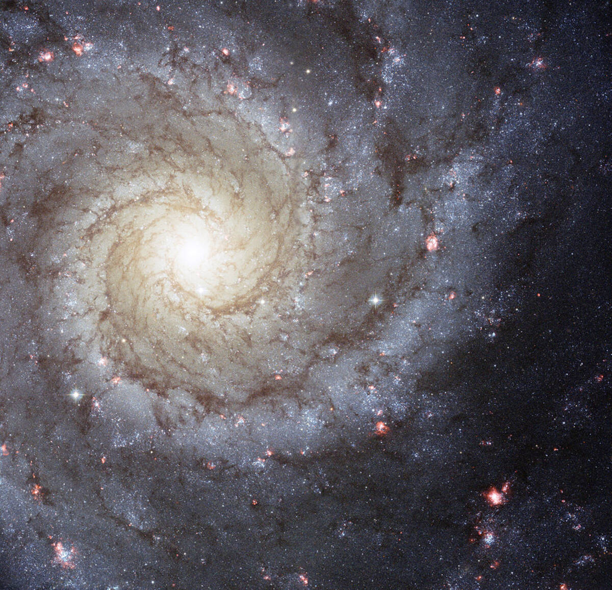Galàxia espiral M74 © NASA, ESA and The Hubble Heritage
