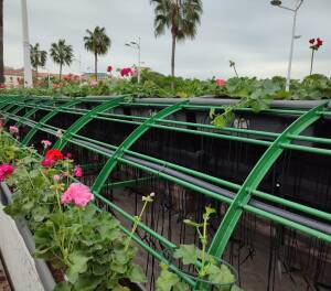 Valencia renueva puente de las flores