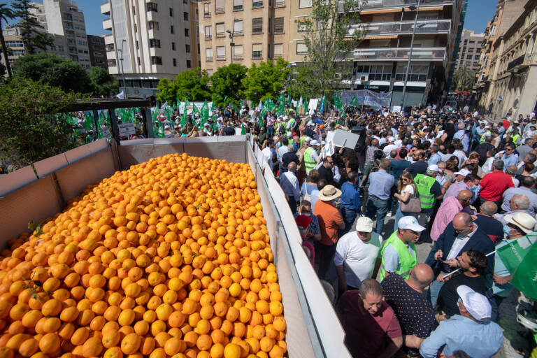 Las naranjas que se 'regalaron' en la concentración como símbolo de la venta a pérdidas