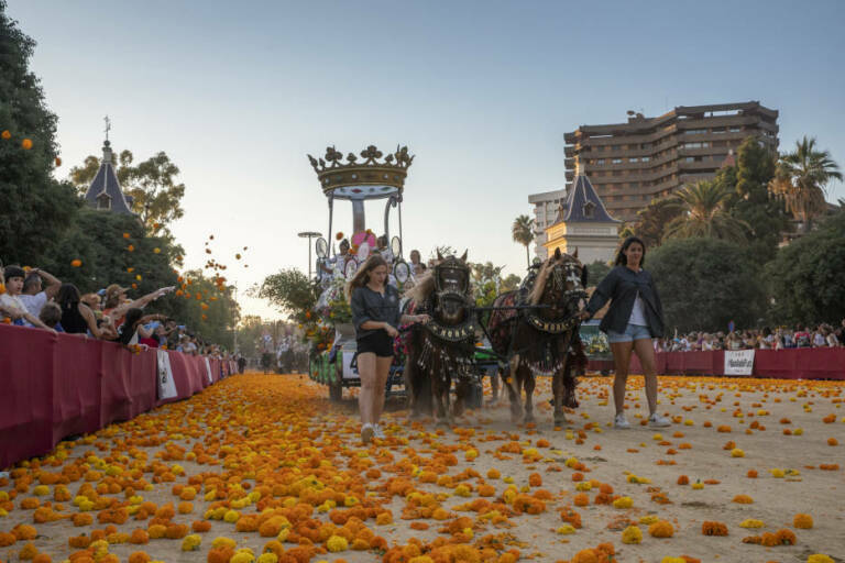 condensador Disfraz Pelearse Curiosidades sobre la Batalla de las Flores de Valencia - Valencia Plaza