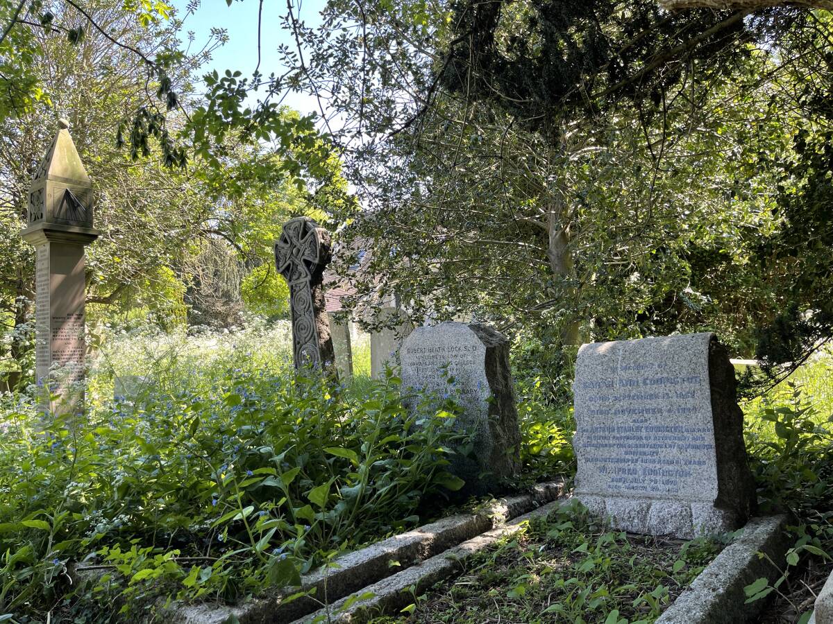 La tomba d'Arthur Eddington en primer pla. Foto: VICENT BAYDAL