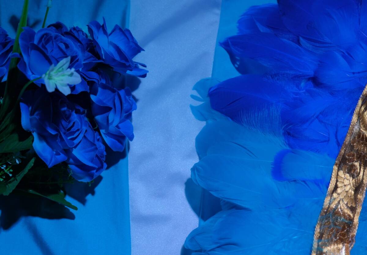 Plumas, flores y parafernalia en pantone azul