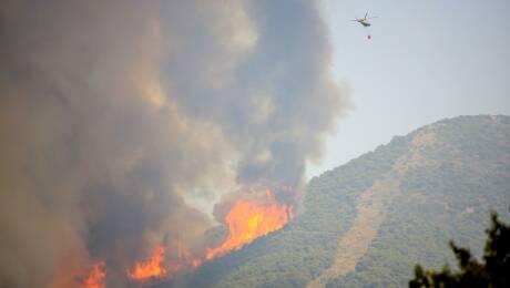 Ayudas, incendios forestales, zonas afectadas