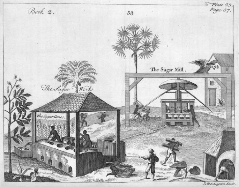 Un molí de sucre a la Guaiana francesa en el s. XVII