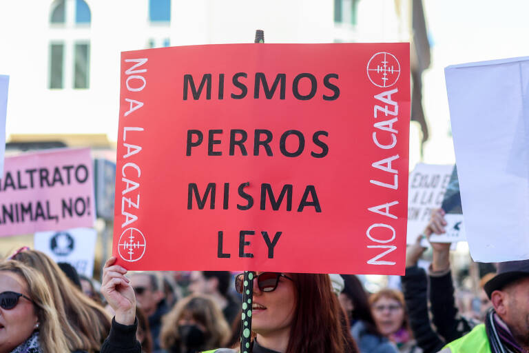 Manifestación en Madrid por la misma causa. Foto: RICARDO RUBIO/EP