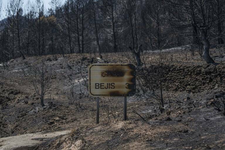 Zona afectada por el incendio de Bejís del verano de 2022 Foto: JORGE GIL/EP