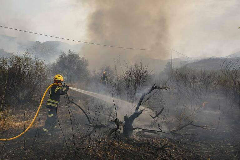 Incendio de Vall d'Ebo Foto: EFE/Natxo Francés