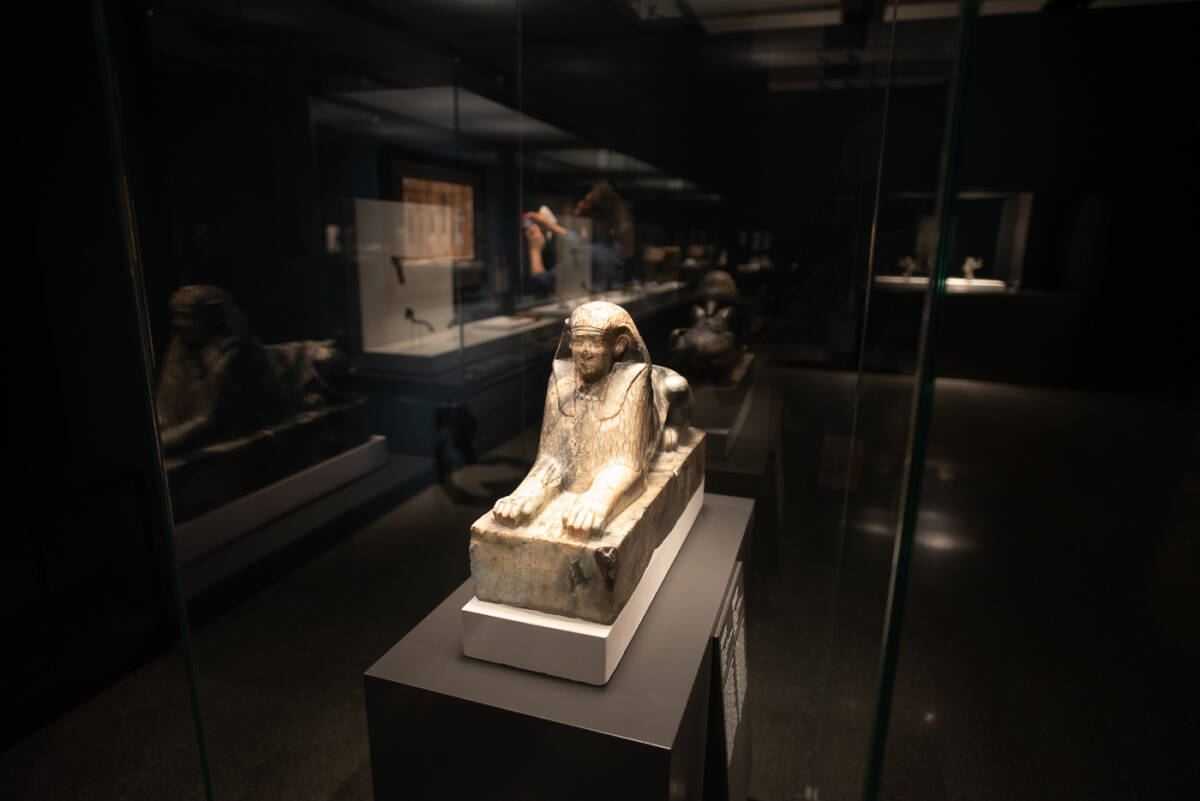 'Faraón. Rey de Egipto' en CaixaForum València. Foto: KIKE TABERNER.