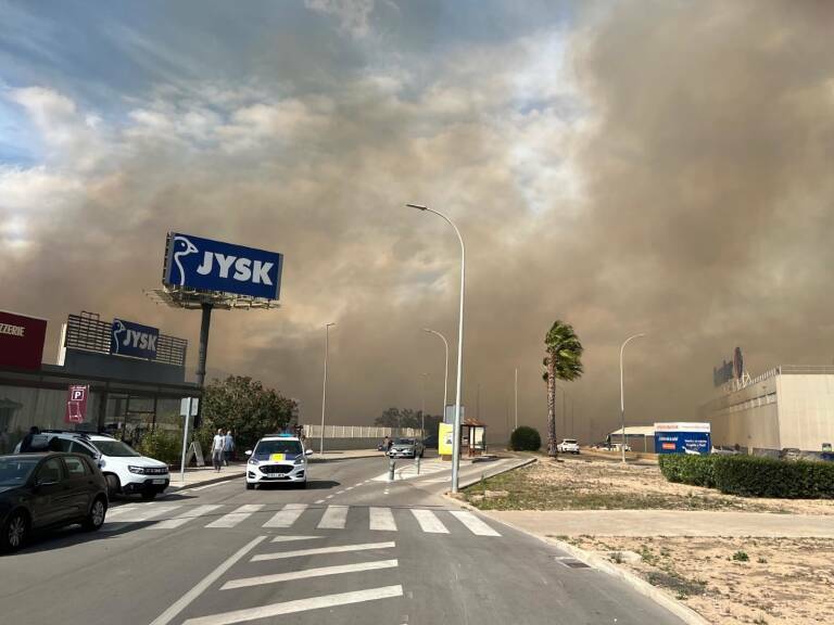 Declarado un incendio de cañar en Alzira. Foto: EUROPA PRESS