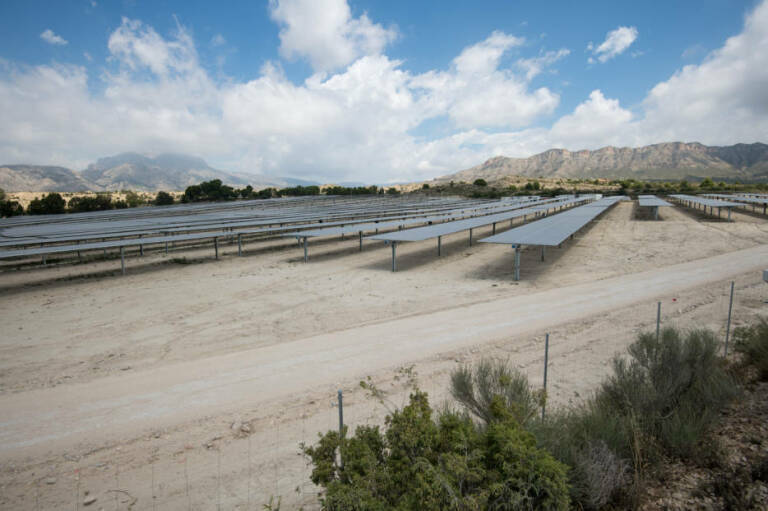 Plantas fotovoltaicas Godelleta y la Serrania: Transición