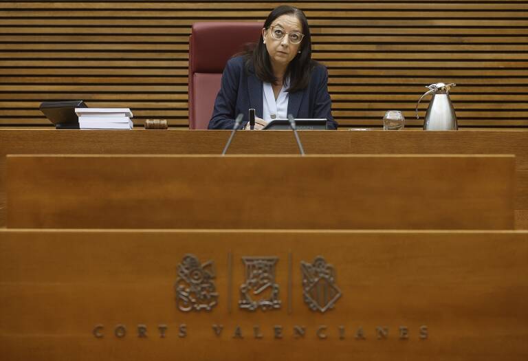 La presidenta de la Cámara, Llanos Massó. Foto: ROBER SOLSONA/EP