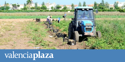 Agriculture increases subsidies for agricultural insurance by 17%, reaching 28 million